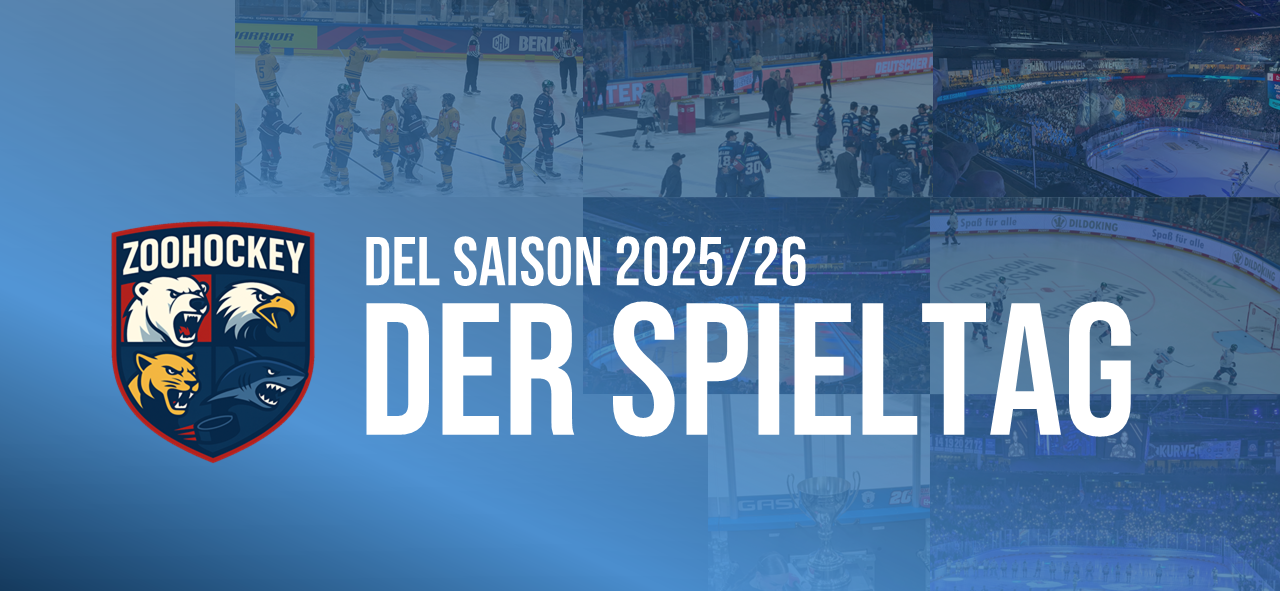 DEL Spieltag 8